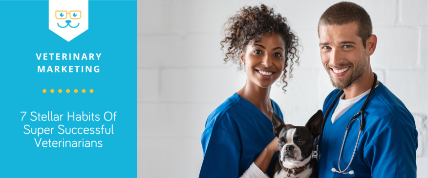 




7 Stellar Habits Of Super Successful Veterinarians


