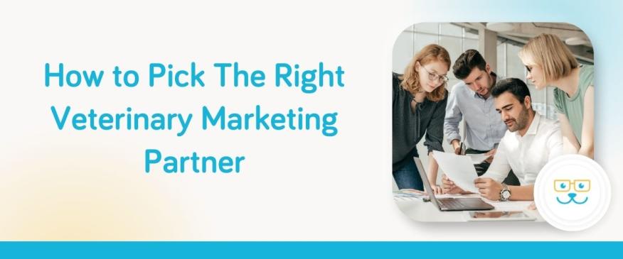 How to Pick The Right Veterinary Marketing Partner