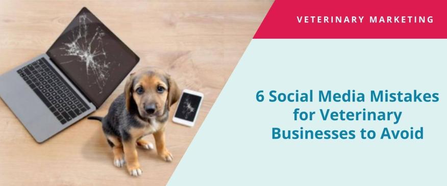 Oops! 6 Social Media Mistakes for Veterinary Businesses to Avoid