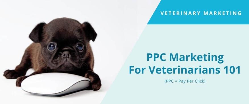 PPC Marketing For Veterinarians 101