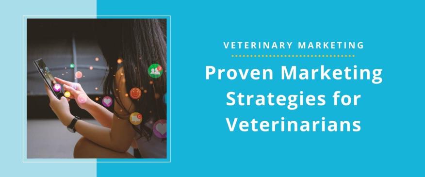 




The Marketing Strategy That Is Helping Independent Veterinarians Outperform Larger Corporate Chains


