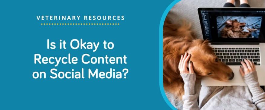 




Is it Okay to Recycle Content on Social Media?


