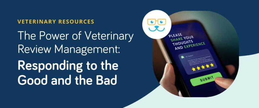 The Power of Veterinary Review Management: Balancing the Good and the Bad