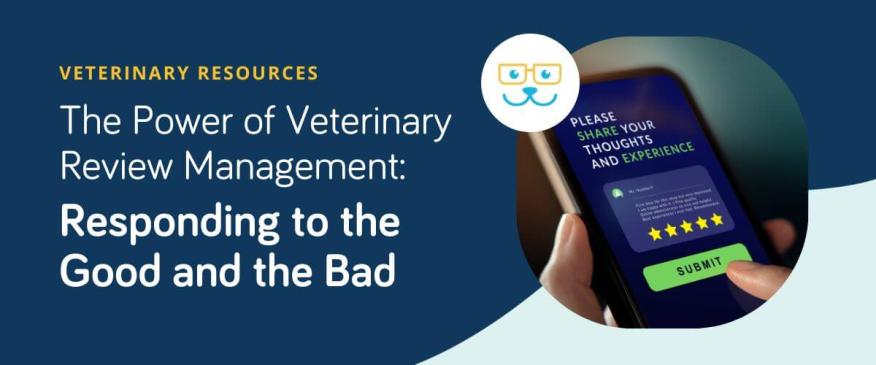 




The Power of Veterinary Review Management: Balancing the Good and the Bad


