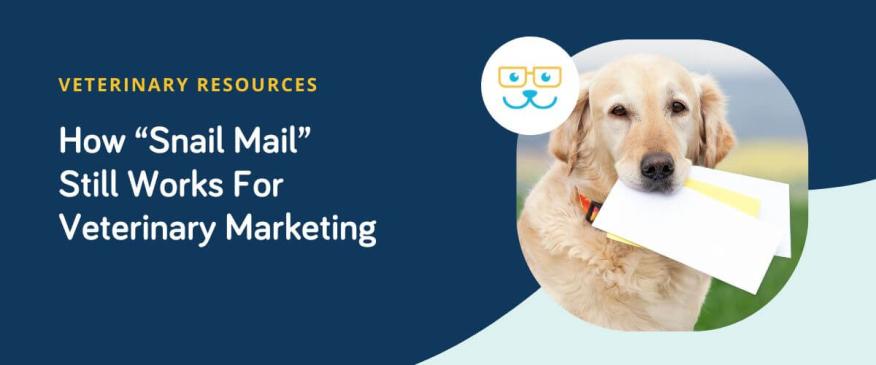 How “Snail Mail” Still Works For Veterinary Marketing