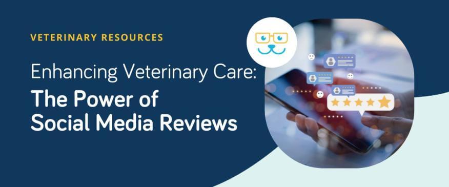 Enhancing Veterinary Care: The Power of Social Media Reviews