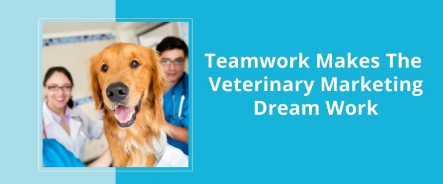 




Teamwork Makes The Veterinary Marketing Dream Work


