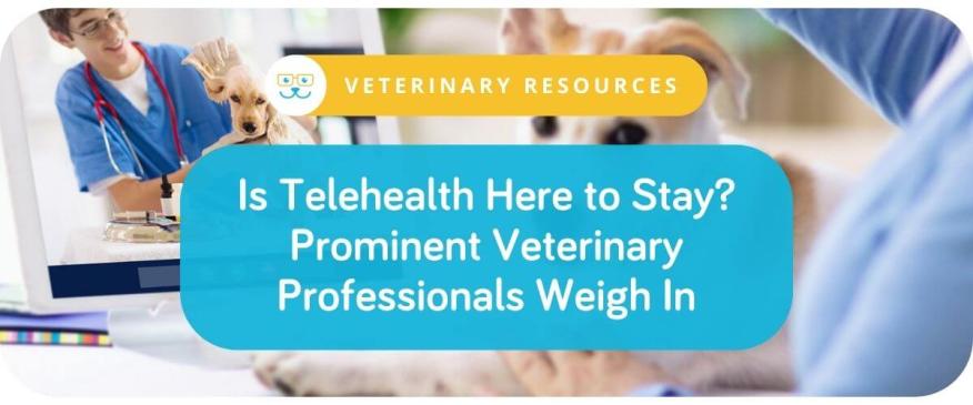 




Is Telehealth Here to Stay? Prominent Veterinary Professionals Weigh In



