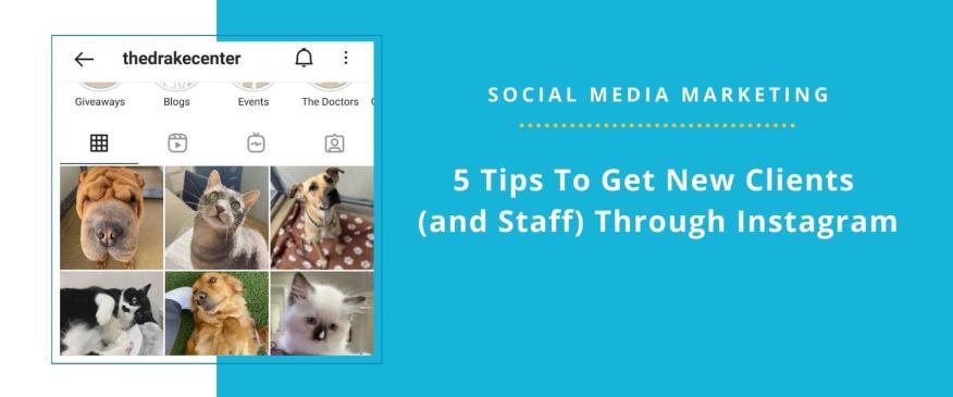 




5 Tips To Get New Vet Clients Through Instagram


