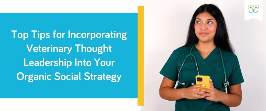Top Tips for Incorporating Veterinary Thought Leadership Into Your Organic Social Strategy