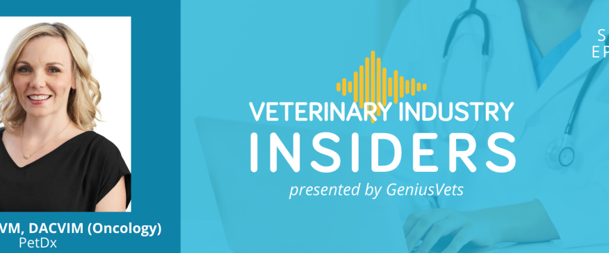 




Veterinary Industry Insiders: Dr. Andi Flory


