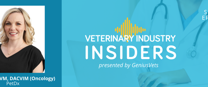 Veterinary Industry Insiders: Dr. Andi Flory