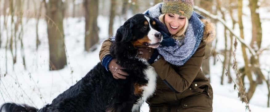 




Cold Weather Exercise Tips to Keep Your Dog From Gaining the Frosty 15 


