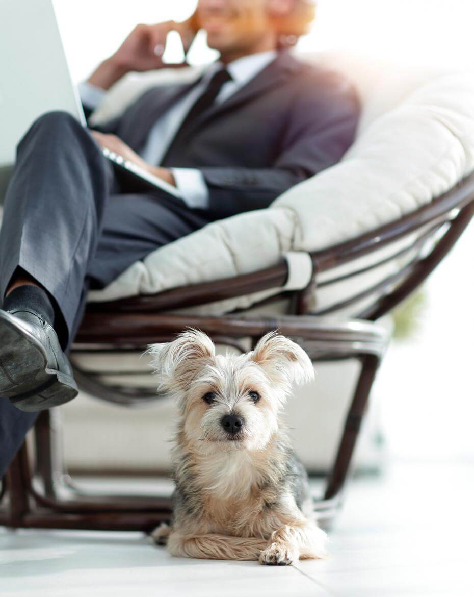 Salesperson with dog