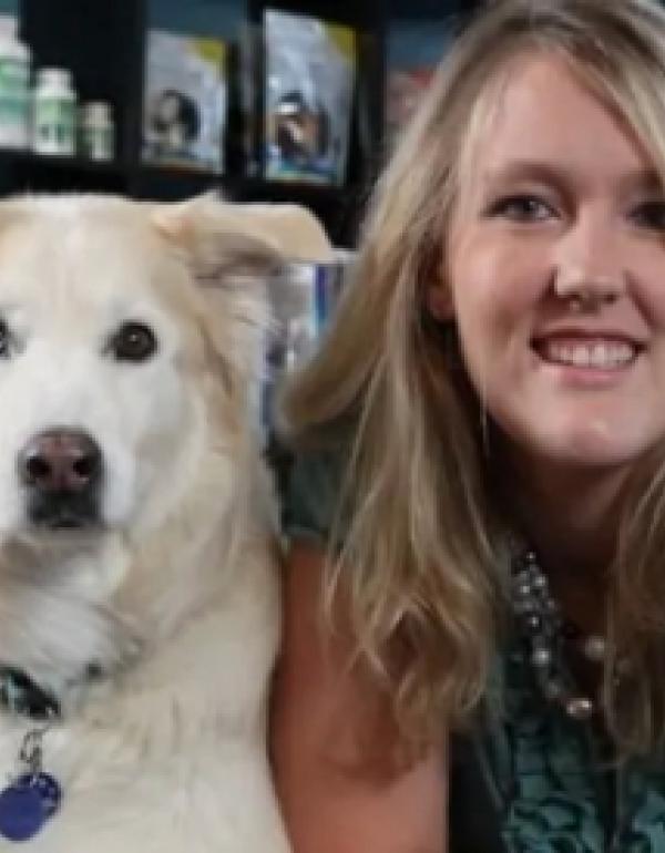 ashley veterinary clinic