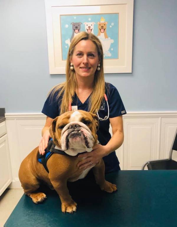 Dumfries Animal Hospital Dumfries, VA