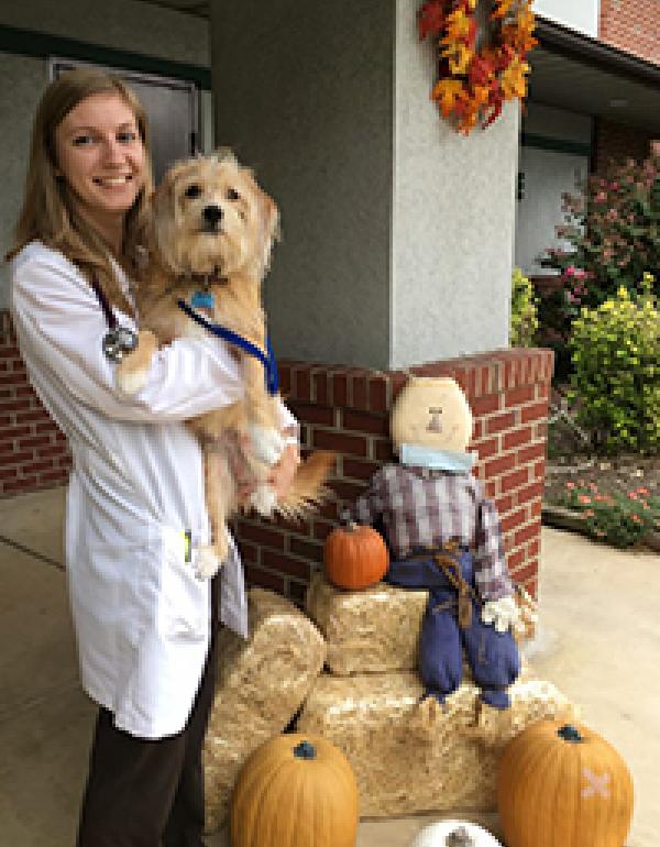 Dumfries Animal Hospital Dumfries, VA