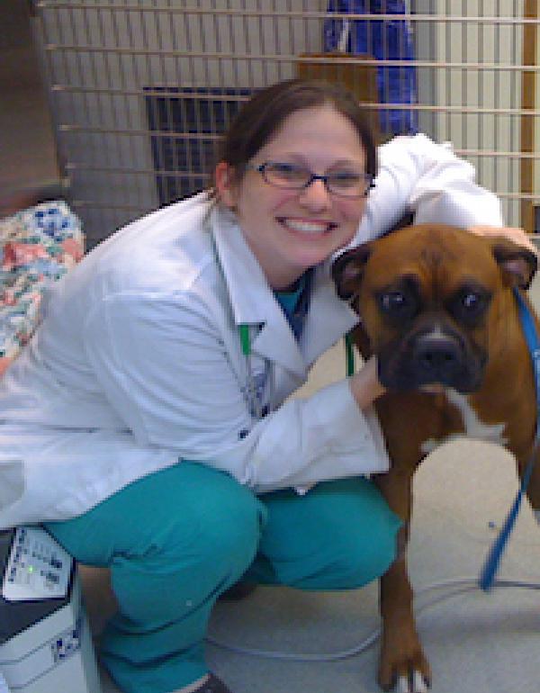 Dumfries Animal Hospital Dumfries, VA