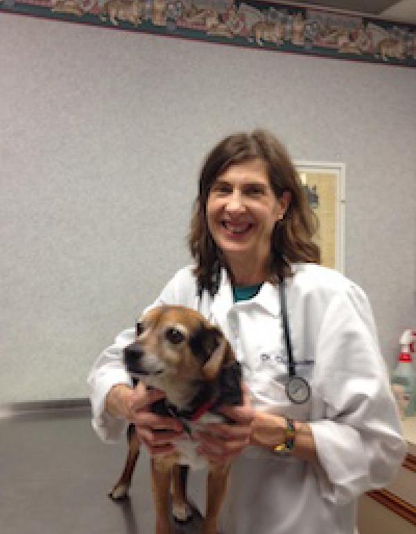 Dumfries Animal Hospital Dumfries, VA