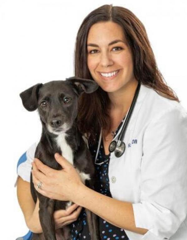 Ingleside Animal Hospital Phoenix, AZ