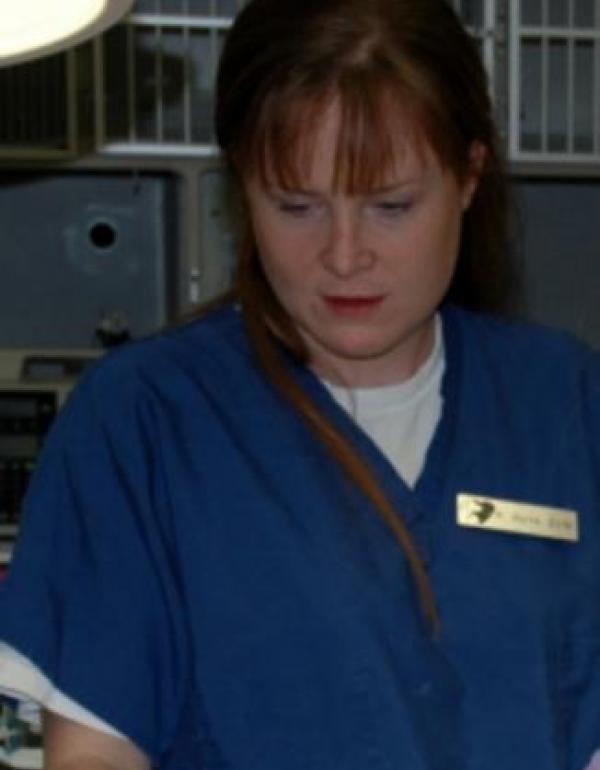 Karen Burns Veterinarians