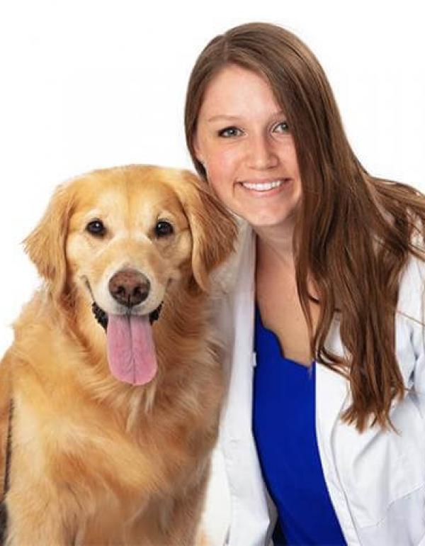 Ingleside Animal Hospital Phoenix, AZ