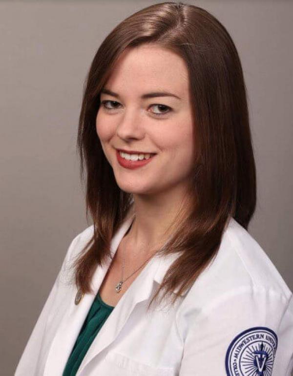 4 Paws Veterinary Care Wynantskill, NY