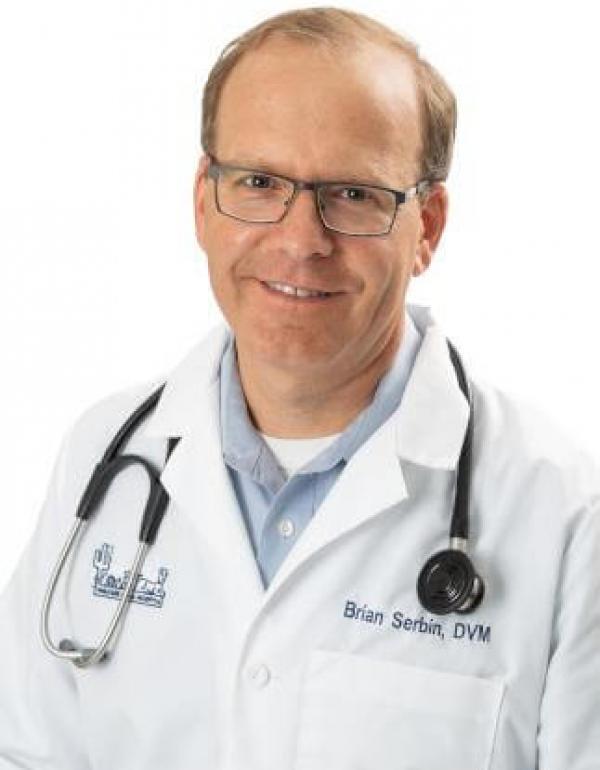 Ingleside Animal Hospital – Phoenix, AZ