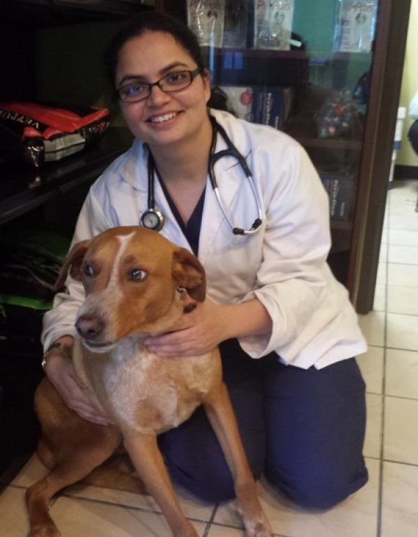 East Bay Veterinary Clinic Oakland, CA