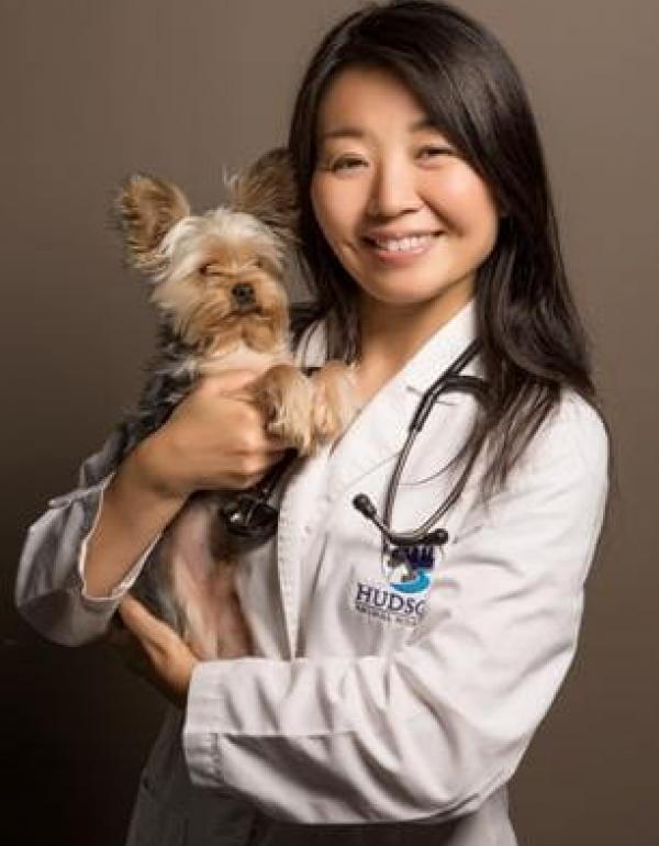 Hudson Animal Hospital New York, NY