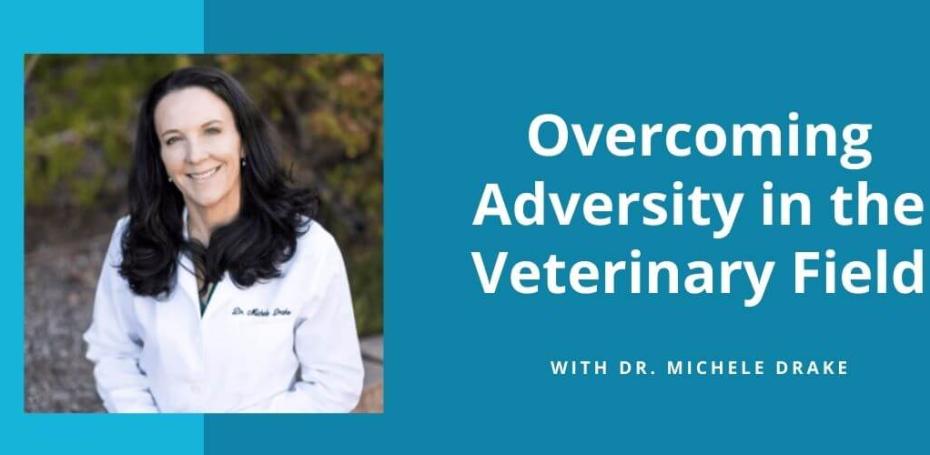 How Three Successful DVMs Have Overcome Adversity in the Veterinary Field