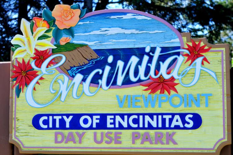 veterinarians near encinitas california
