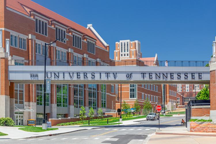 Vets Near Knoxville Tennessee