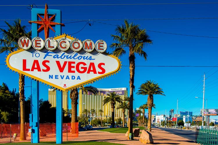 Vets Near Las Vegas Nevada 800