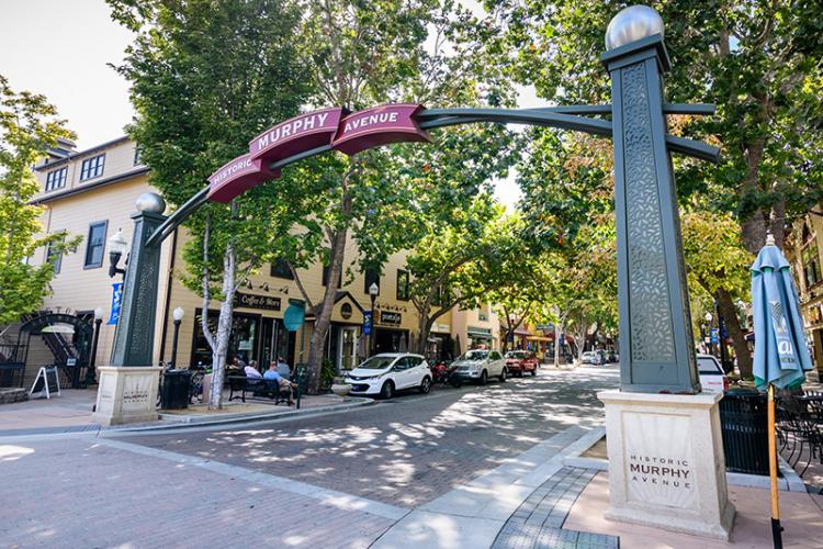Vets Near Sunnyvale California