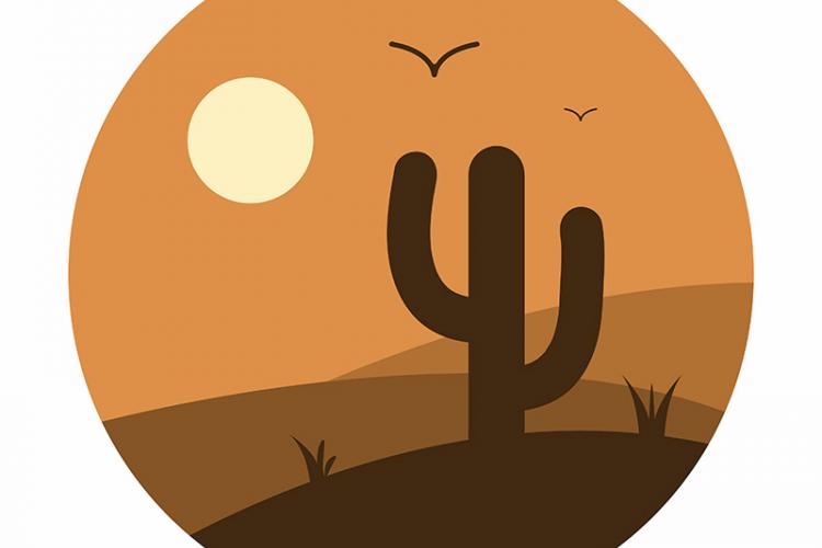 Vets Near Tucson Arizona 800