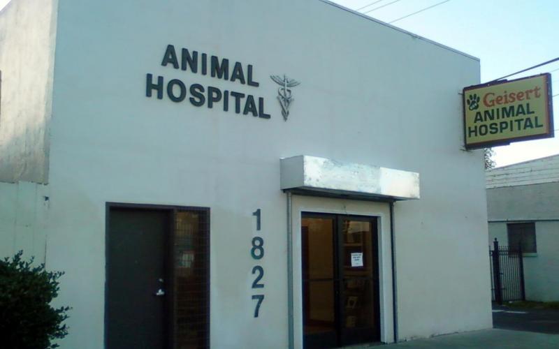 Find Pet Care Information and Veterinarians in Ortega, California