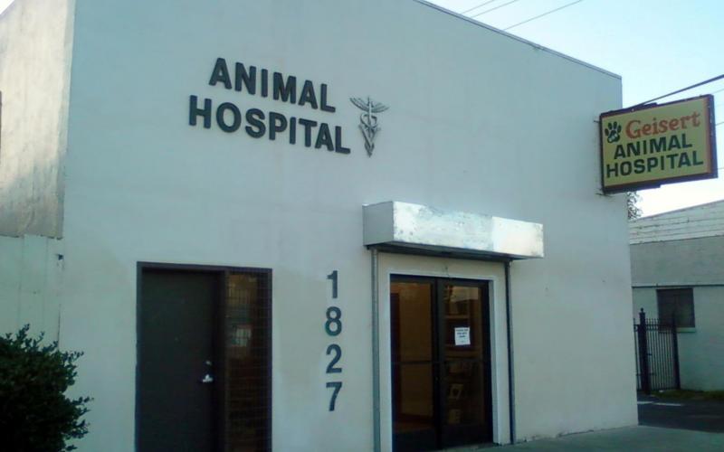 Find Pet Care Information and Veterinarians in Ortega, California Find Pet Care Information and Veterinarians in Ortega, California