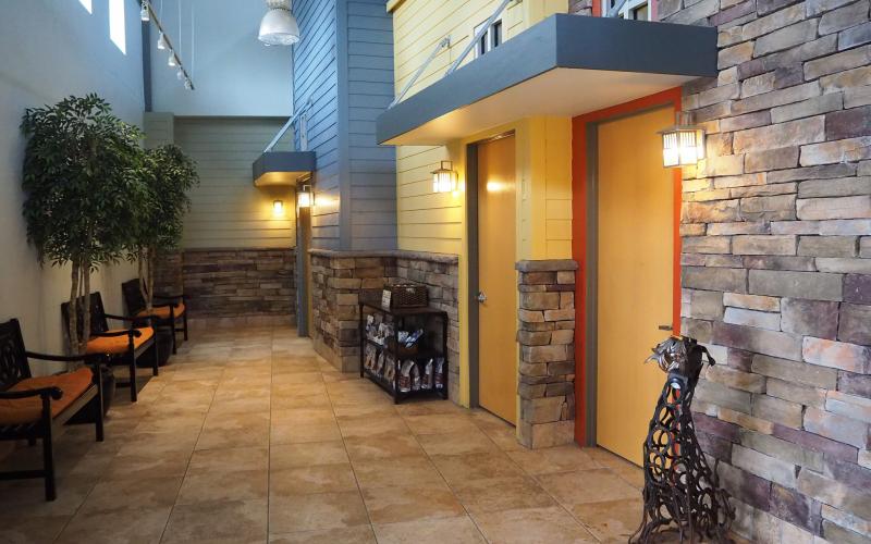 Lead Veterinary Technician