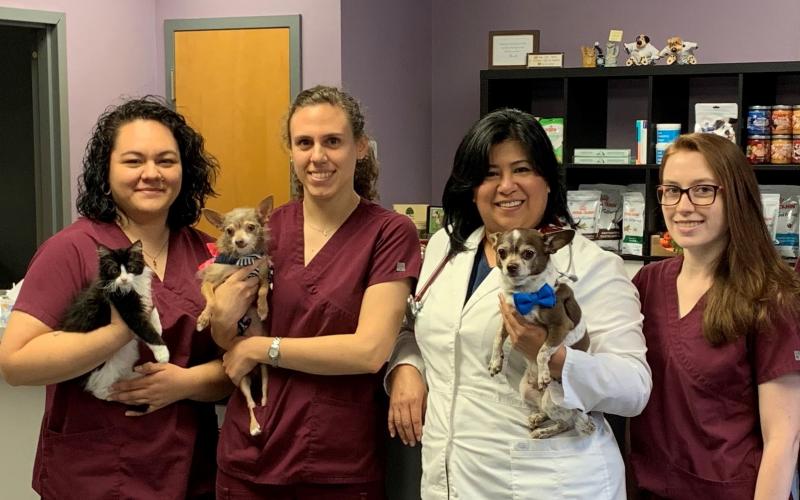 Find Pet Care Information and Veterinarians in Dumont, New-jersey