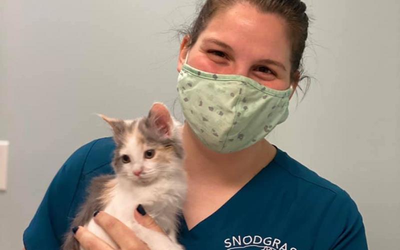 Find Pet Care Information and Veterinarians in Three-springs, Kentucky Find Pet Care Information and Veterinarians in Three-springs, Kentucky