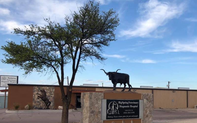 Find Pet Care Information and Veterinarians in Pecos, Texas Find Pet Care Information and Veterinarians in Pecos, Texas