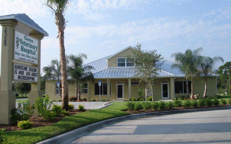 Find Pet Care Information and Veterinarians in Cocoa, Florida