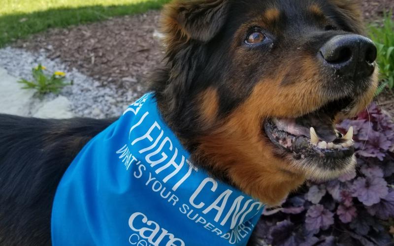 Find Pet Care Information and Veterinarians in Oak-ridge, Ohio Find Pet Care Information and Veterinarians in Oak-ridge, Ohio