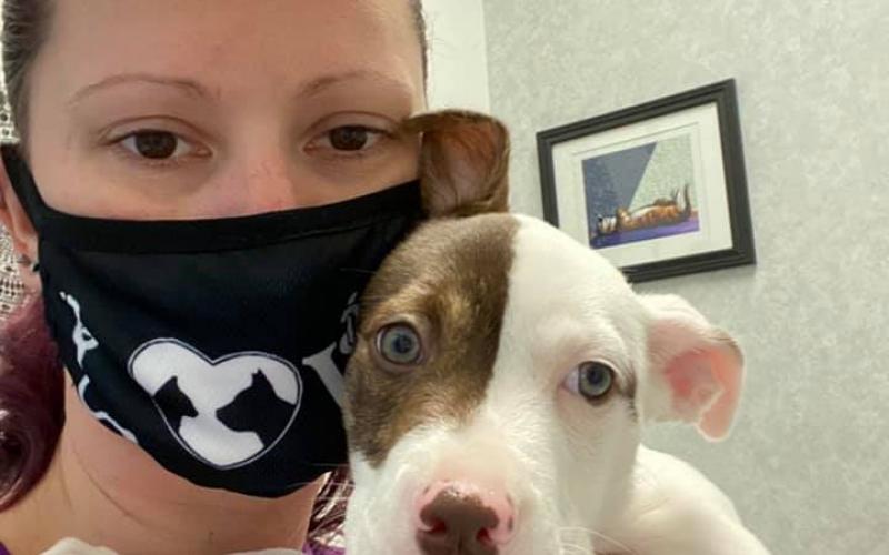 Find Pet Care Information and Veterinarians in Nelson, North-carolina Find Pet Care Information and Veterinarians in Nelson, North-carolina