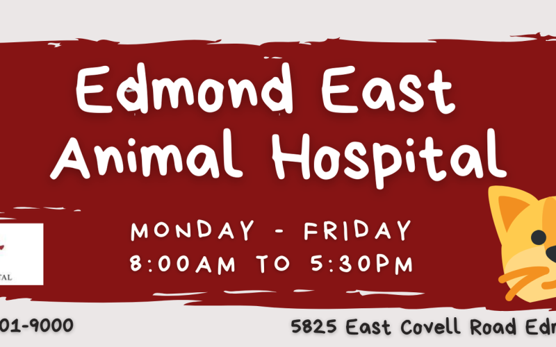 Find Pet Care Information and Veterinarians in Arcadia, Oklahoma Find Pet Care Information and Veterinarians in Arcadia, Oklahoma