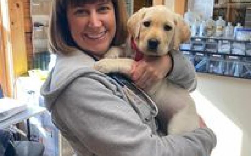 Find Pet Care Information and Veterinarians in Joyes, Kentucky Find Pet Care Information and Veterinarians in Joyes, Kentucky