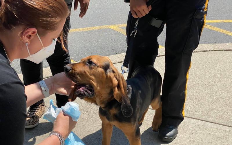 Find Pet Care Information and Veterinarians in Edgewater, New-jersey Find Pet Care Information and Veterinarians in Edgewater, New-jersey