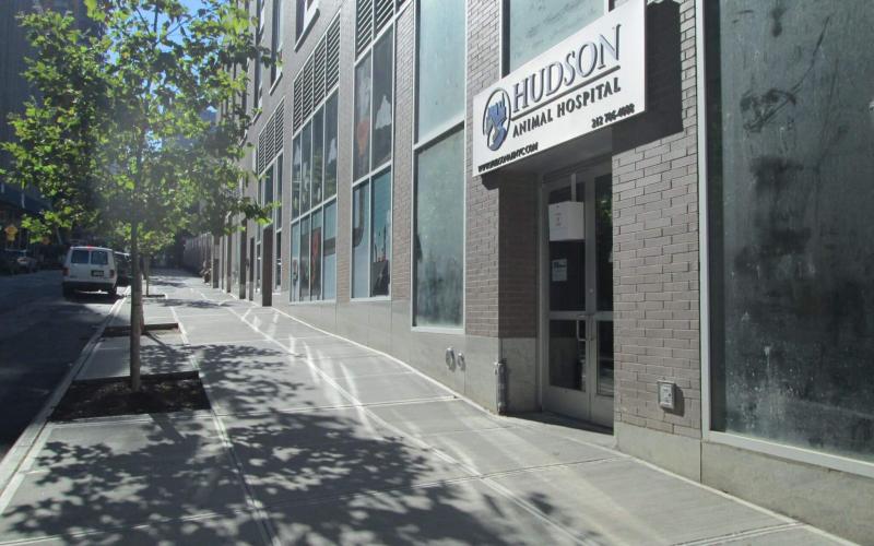 Find Pet Care Information and Veterinarians in Newyork, Newyork