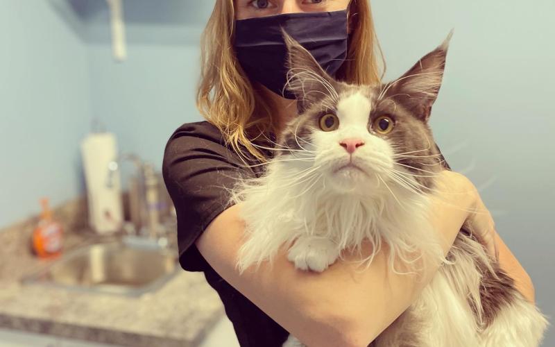 Find Pet Care Information and Veterinarians in Neptune-beach, Florida Find Pet Care Information and Veterinarians in Neptune-beach, Florida
